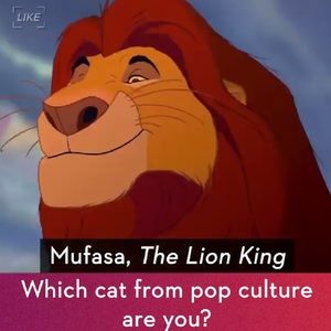 Meet your Posher, Baharo